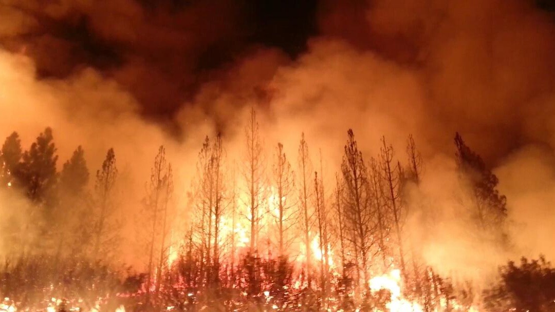 The Rim Fire in California