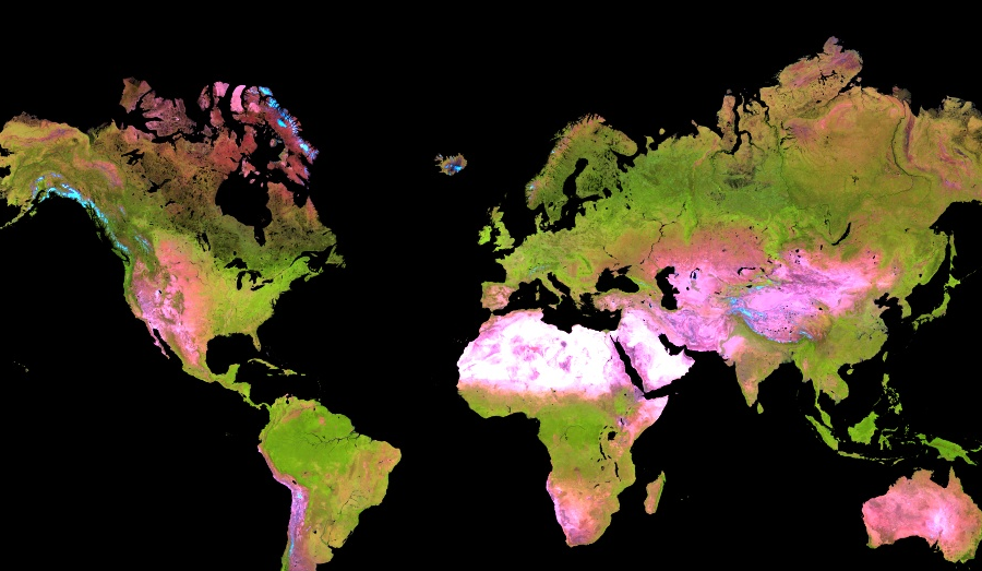 deforestation before and after map