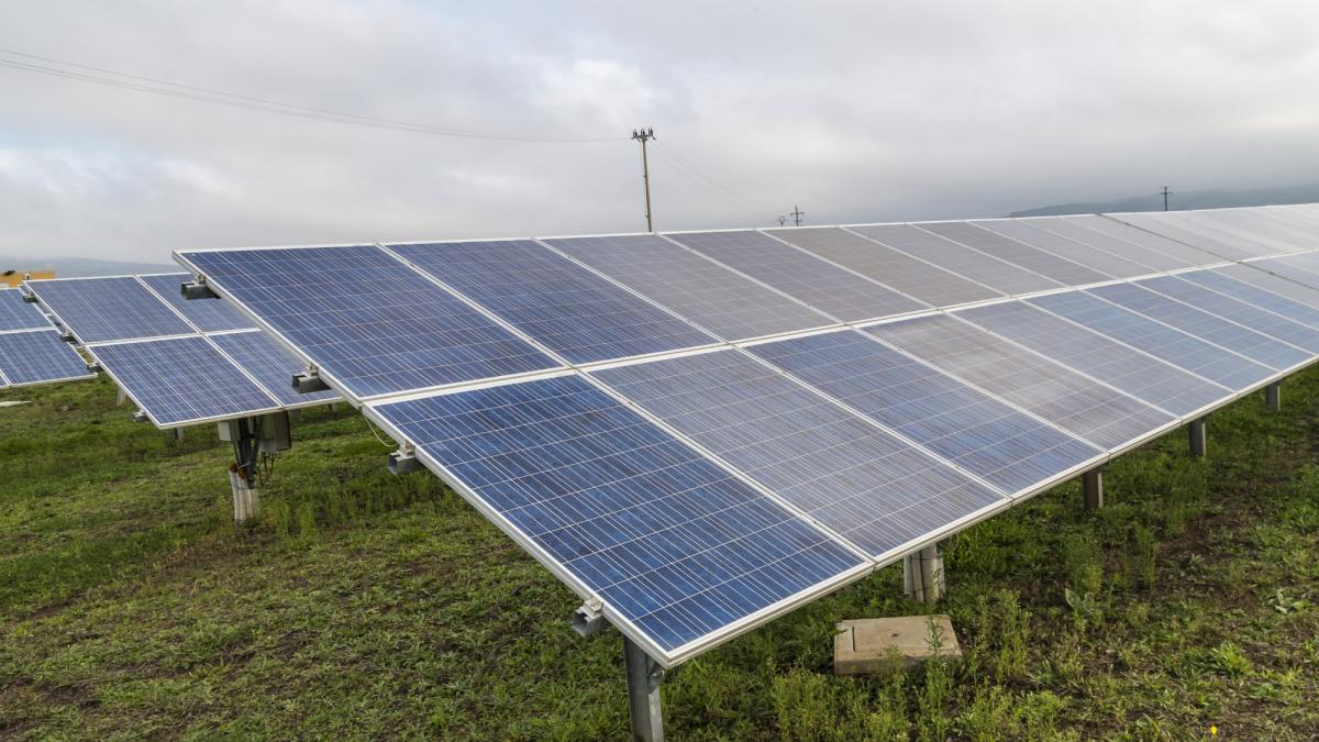 A solar farm