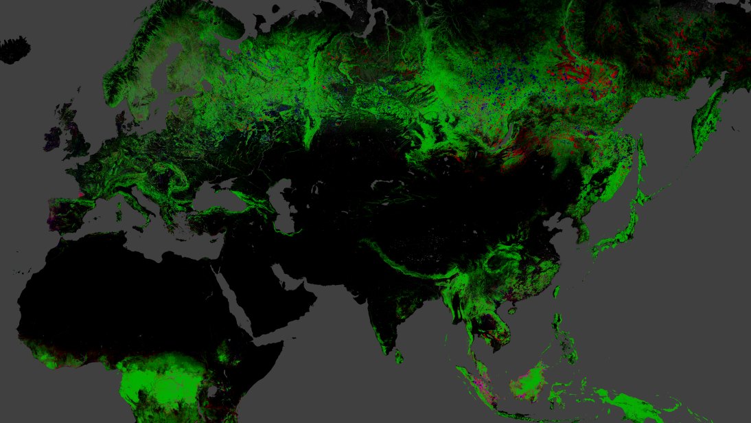 Карта лесов планеты