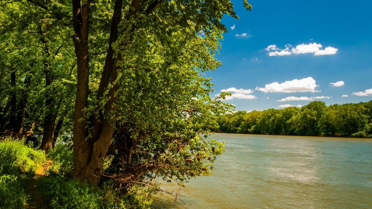 Potomac River