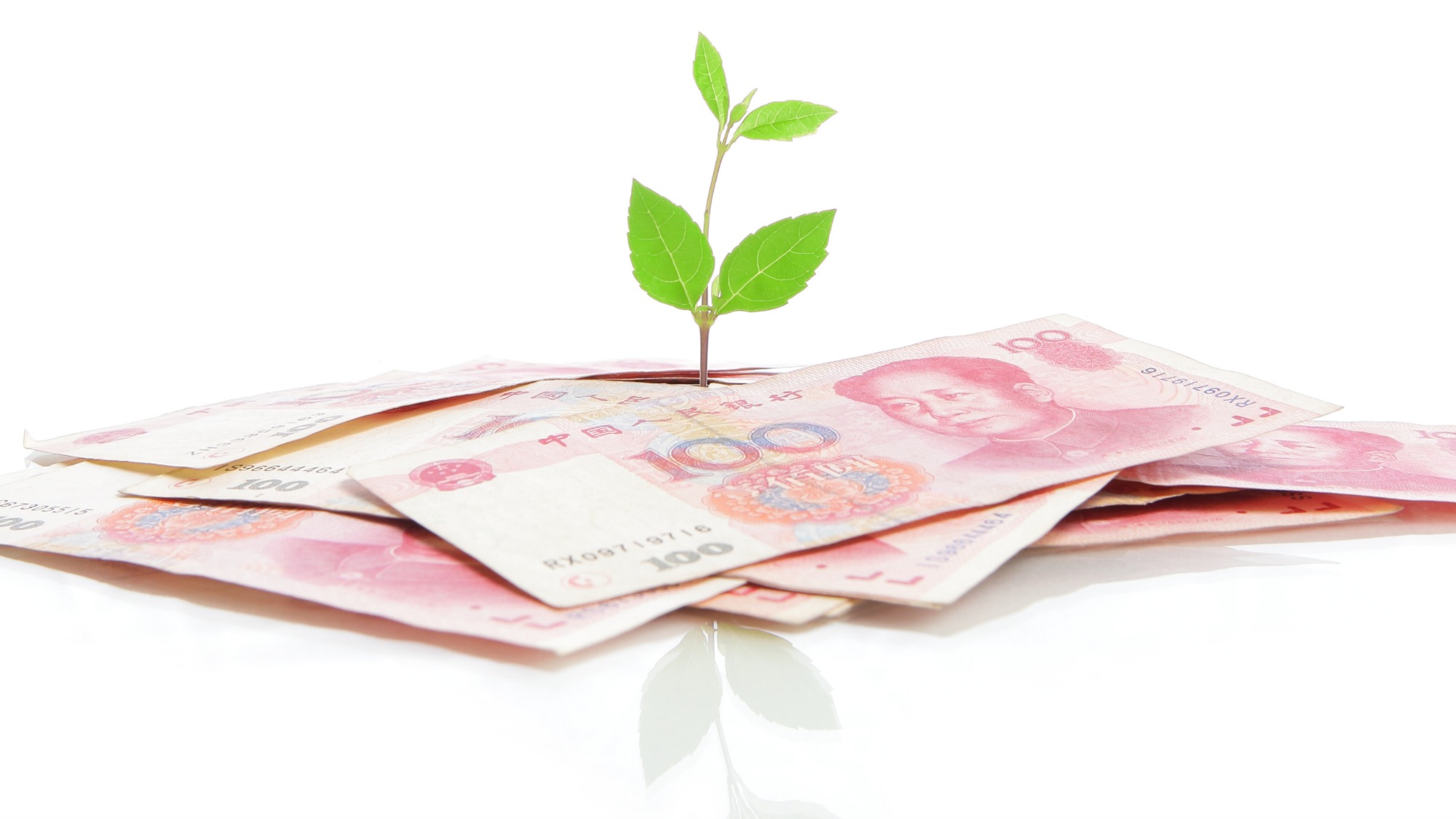 Chinese currency and a seedling