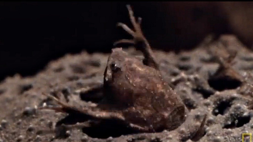 Watch baby frogs freakishly pop out of their mom's skin