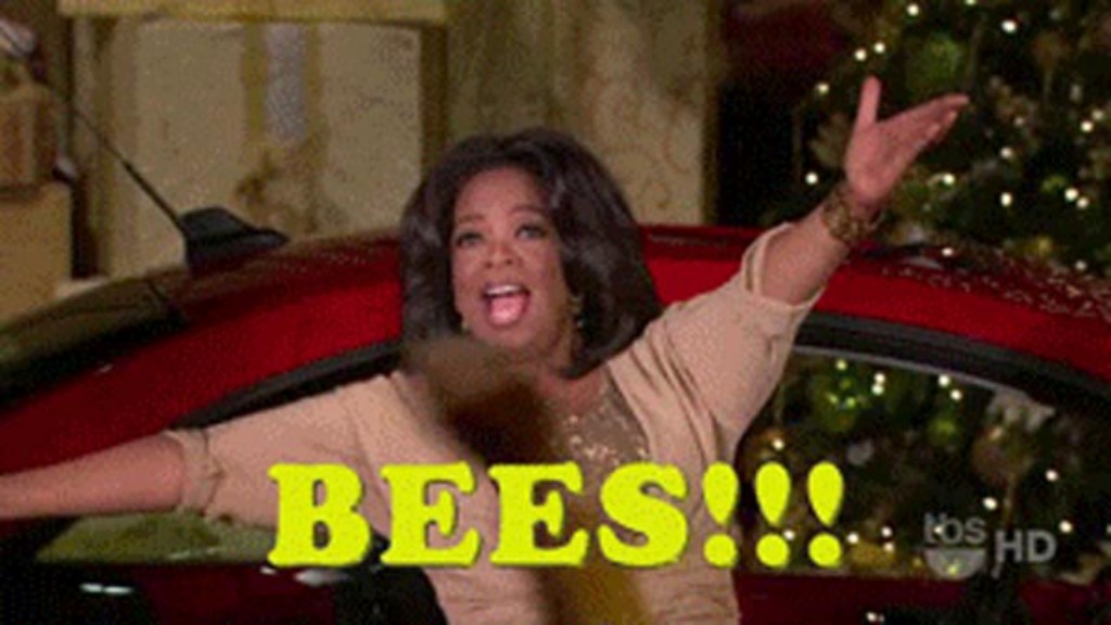 The Week In Gifs Beef Bees And Vodka Grist