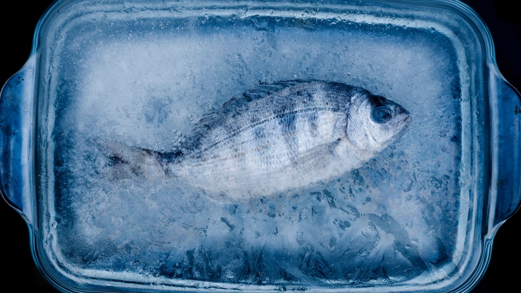 These unlucky fish got flash frozen while they were swimming
