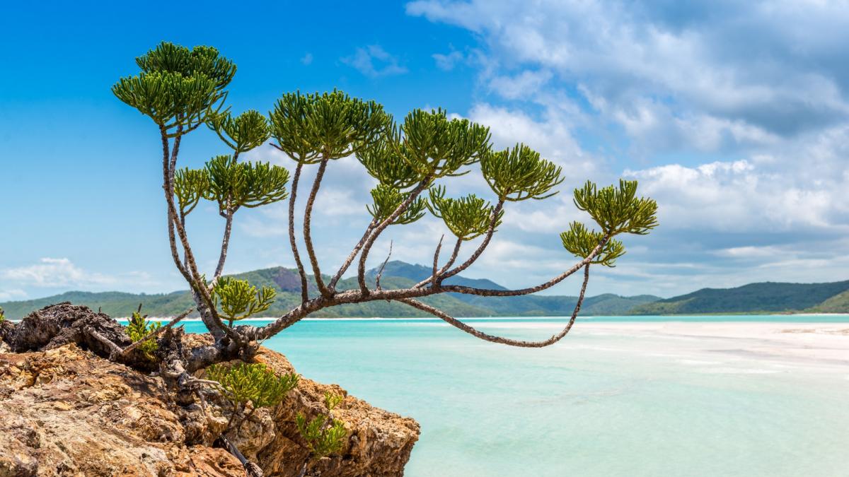 The Whitsundays, in the Great Barrier Reef