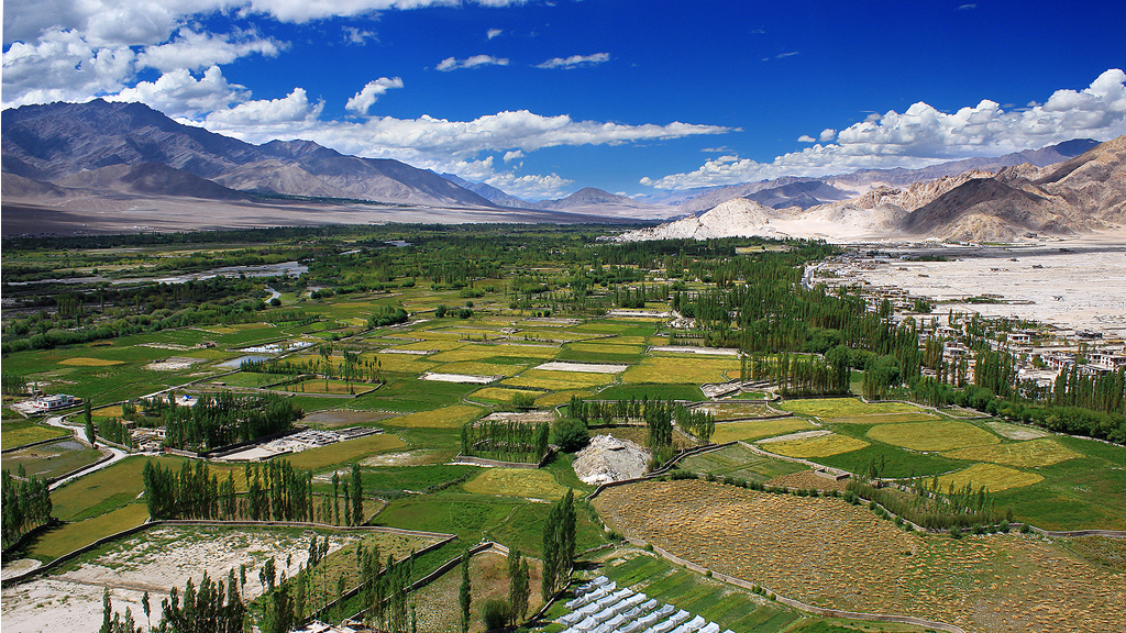 Farming in the Indus Valley, Ladakh.