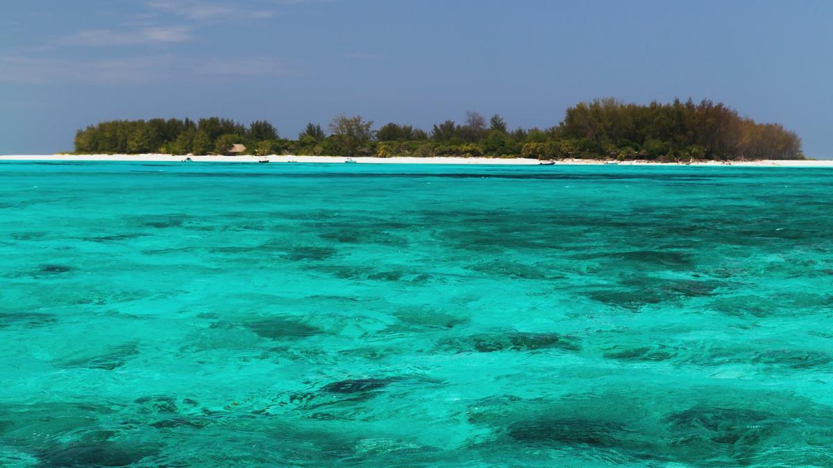 a low-lying island in the Indian Ocean