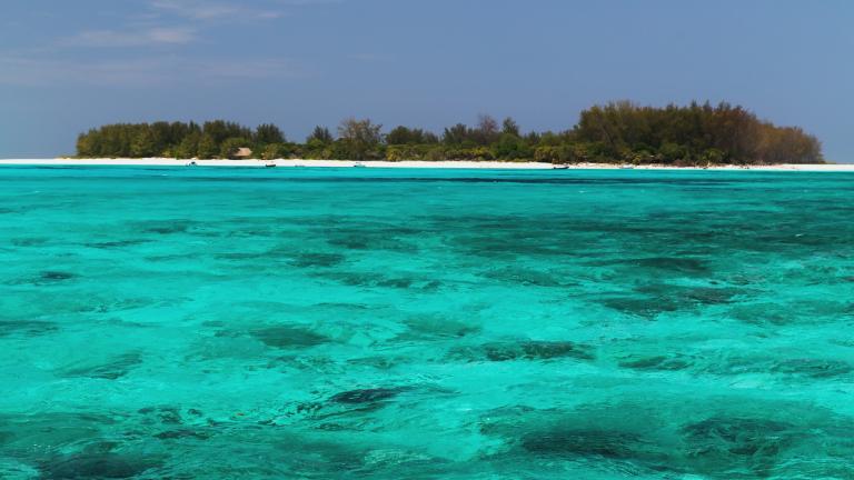 a low-lying island in the Indian Ocean