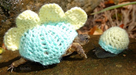 Snails wearing sweaters might just be the best thing ever | Grist