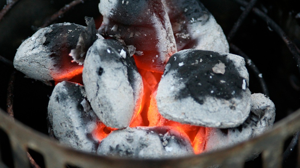 Turn your poop into charcoal and cook with it! Grist