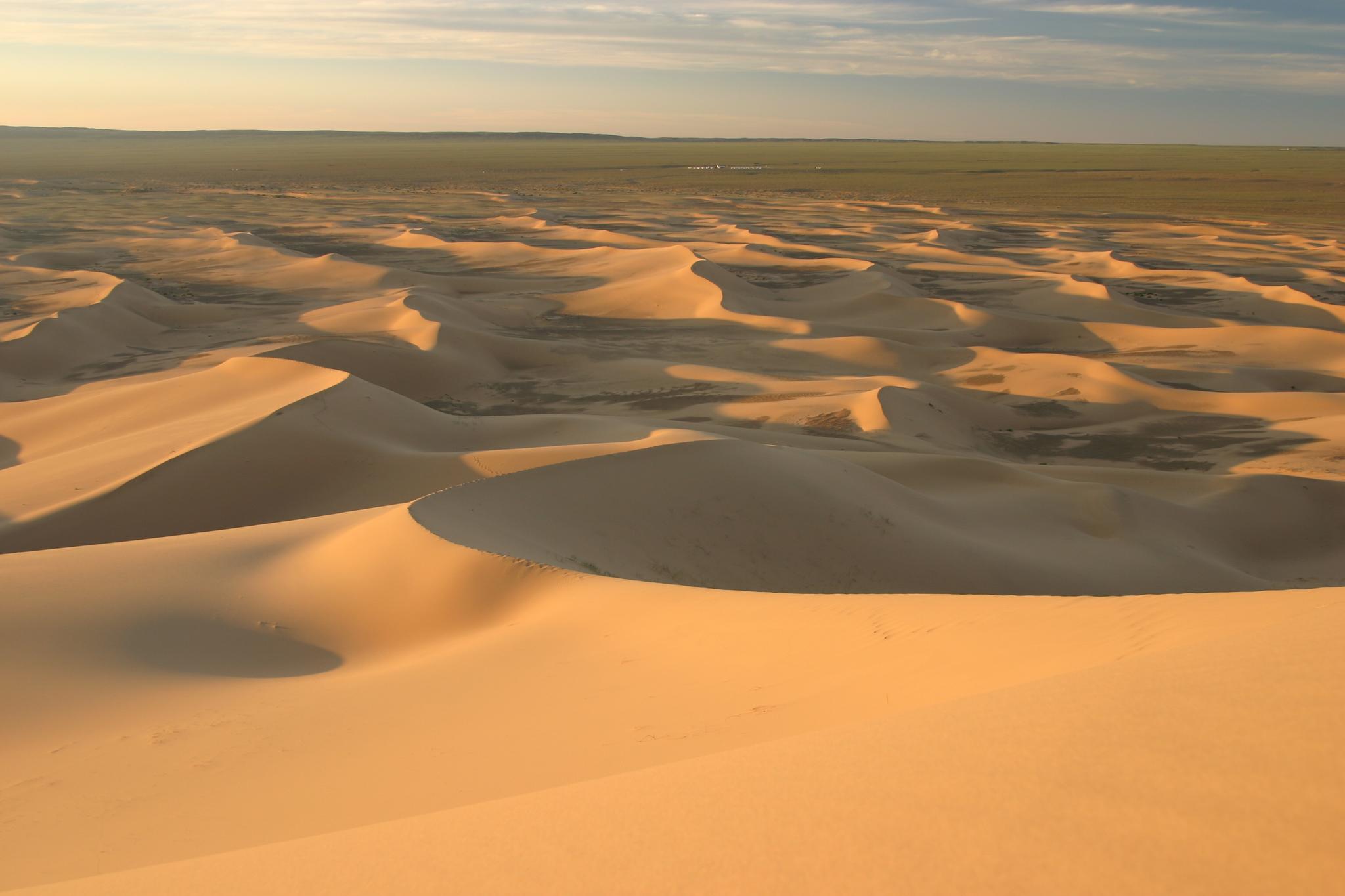 Khongoryn Els-Gobi Desert in Mongolia. Both a literal, and food desert