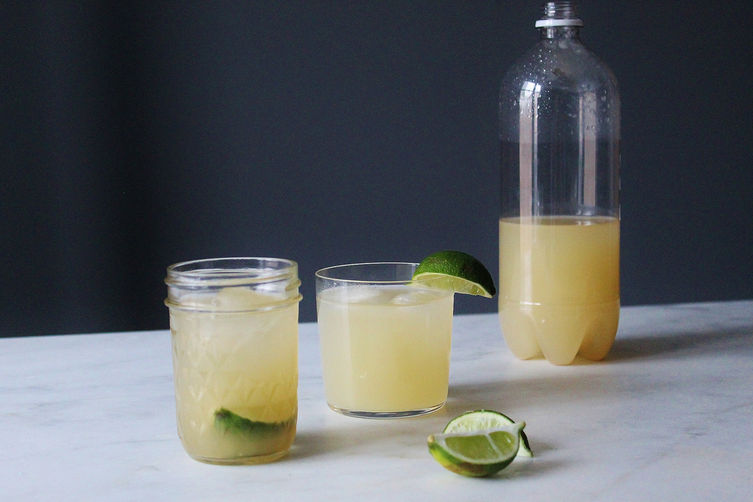 how-to-make-alcoholic-ginger-beer-from-scratch-grist