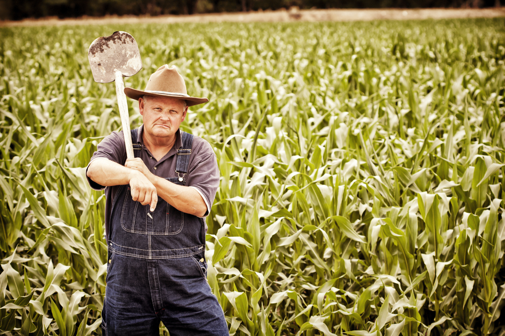 Get off my lawn! Organic farmers just can’t get along with GMO-growing ...