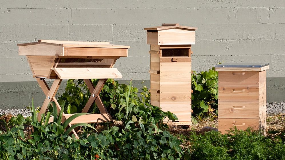 put-a-bee-on-it-portland-bee-dork-makes-hives-with-pollinators-in