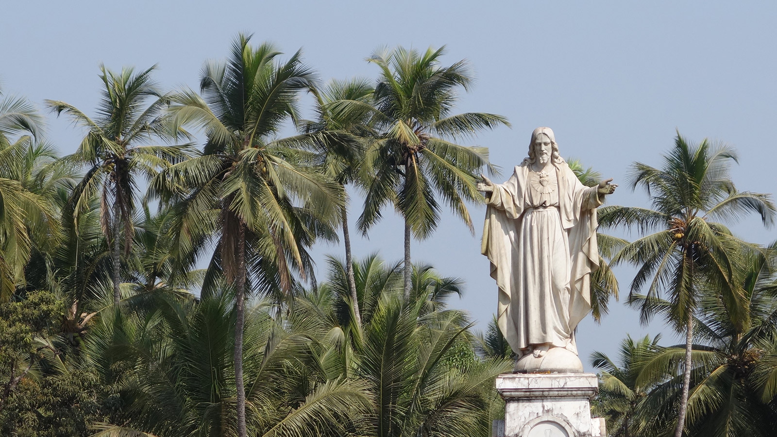 Jesus and palm trees