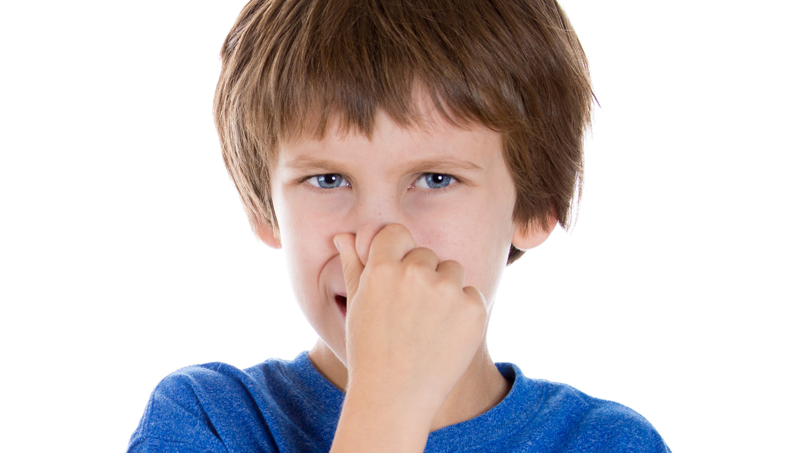 Covering. Wiggle your nose. Sharp Pointed Kids. Finger to nose.