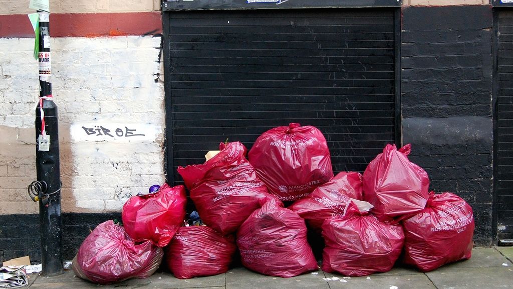 Ask Umbra: I'm buried in garbage bags. Is there a better way?