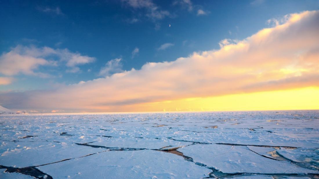 sea ice