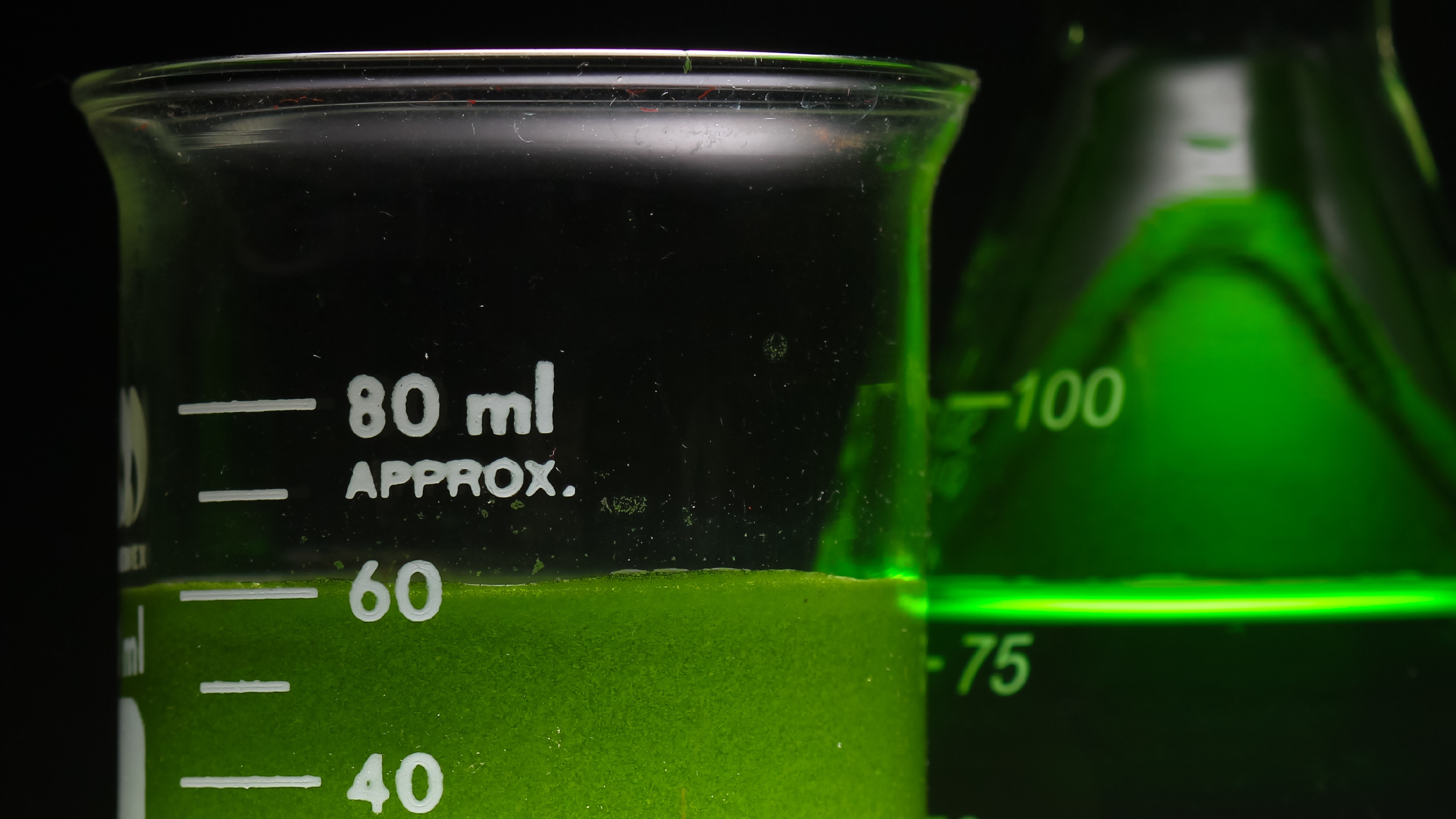 algae biofuel in beaker