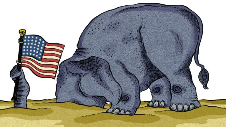 elephant with head in sand