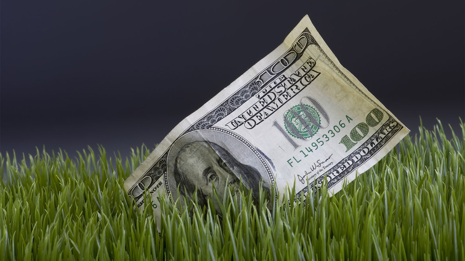 Cash in the grass