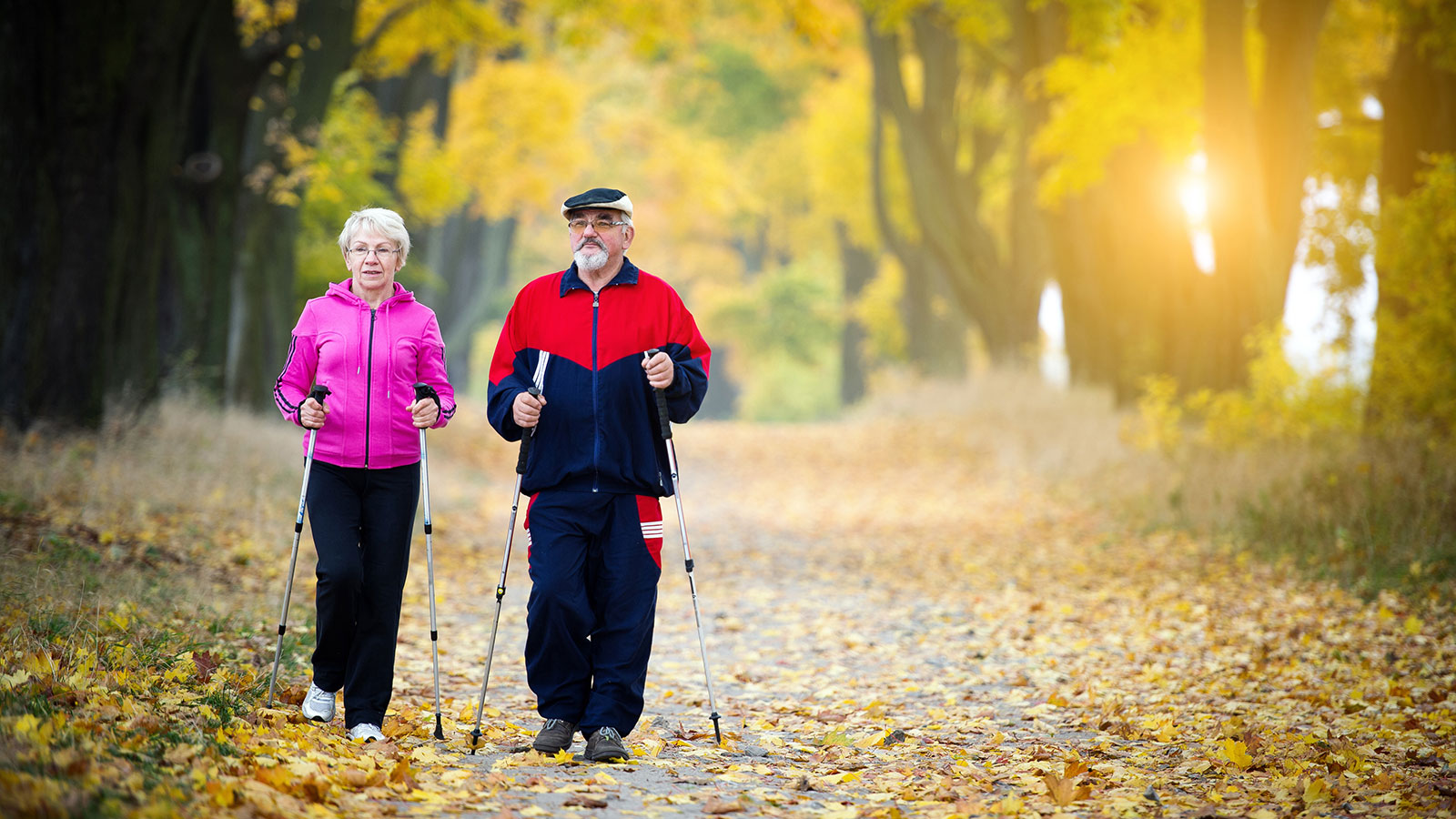 Senior couple making nordic walking in the park