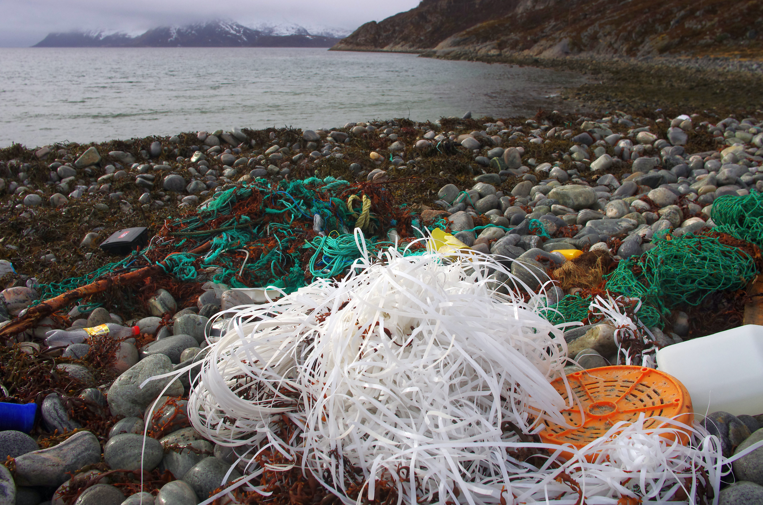 marine debris on beach