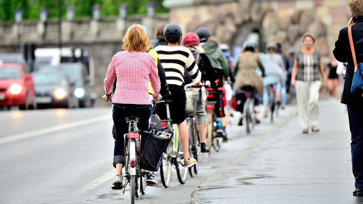 Bikes in bike lane