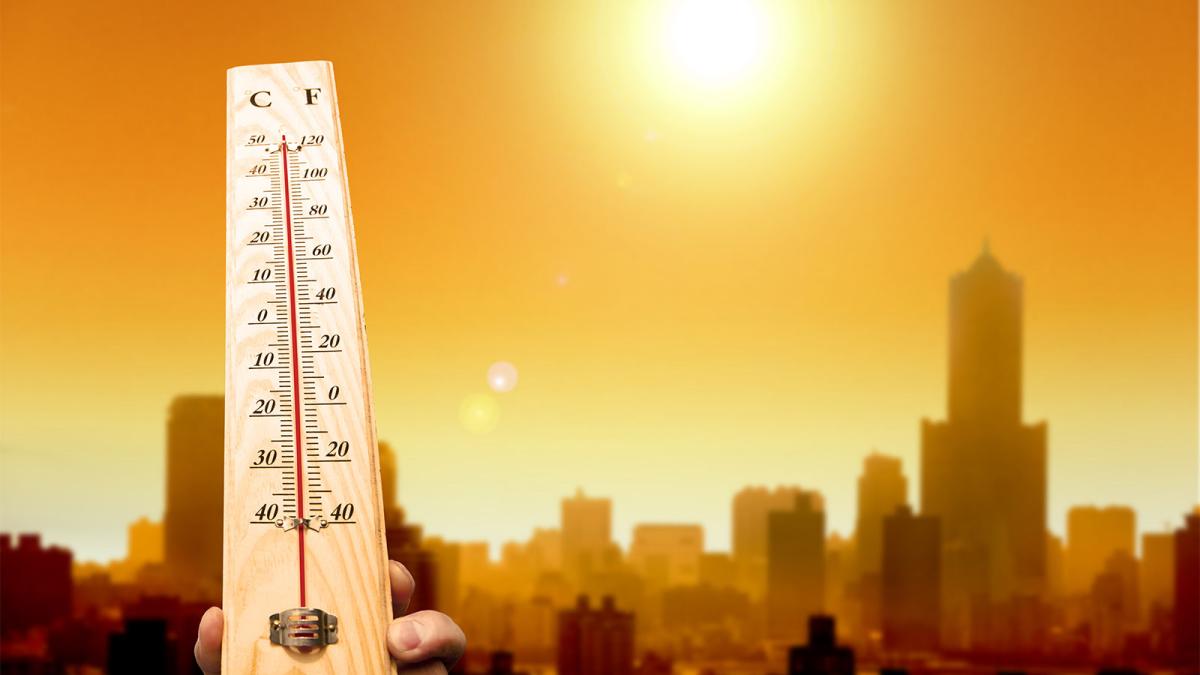 City heat wave