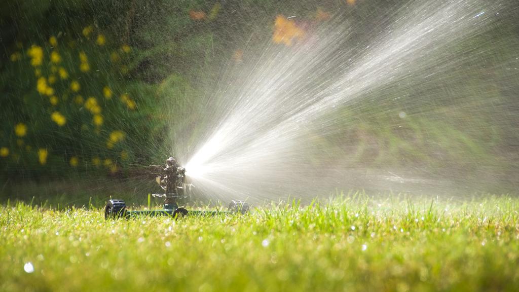 California’s water officials need to practice what they preach