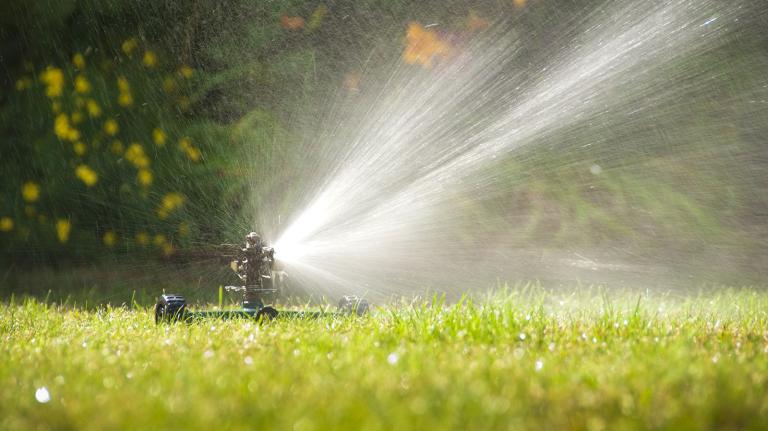 California’s water officials need to practice what they preach