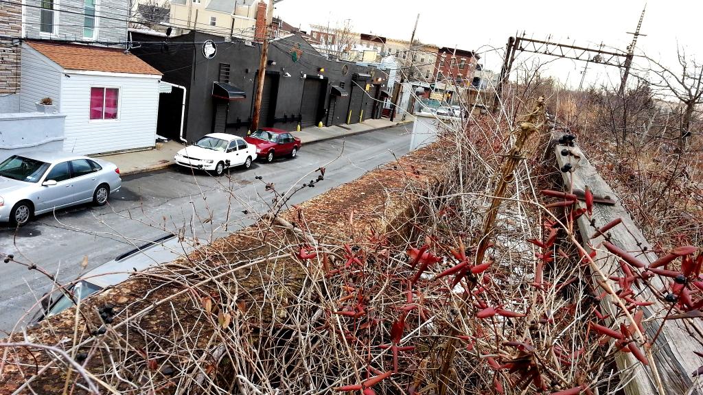 QueensWay park New York