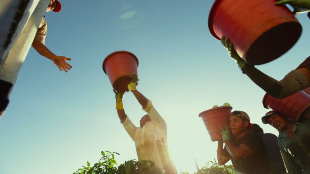 A shot of farm workers from the documentary "Food Chains"