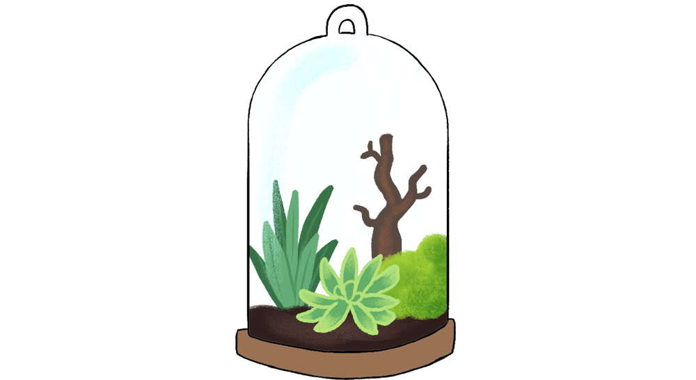 Bell jar terrarium