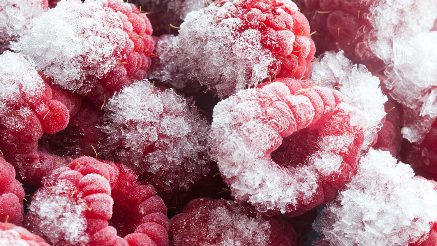 Freezer-burned berries