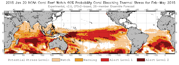 Coral reefs are about to crash in a big way | Grist