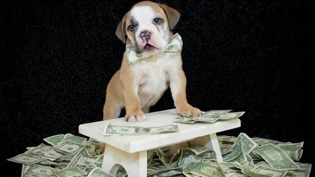 Mo money mo problems