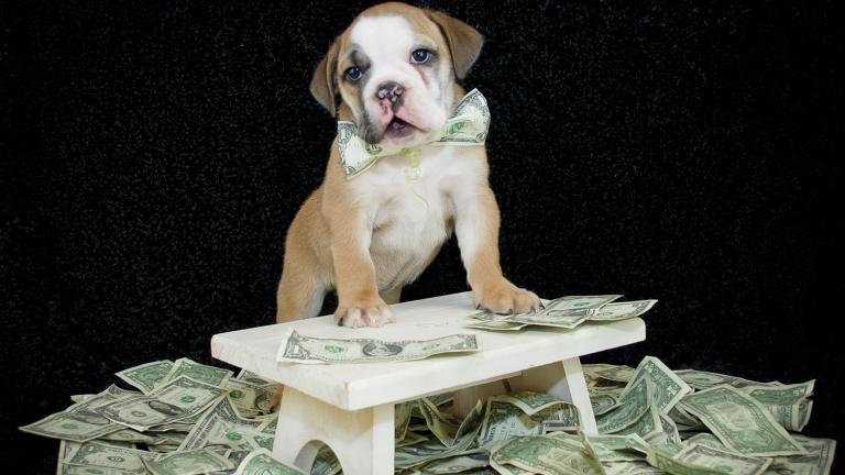 Mo money mo problems