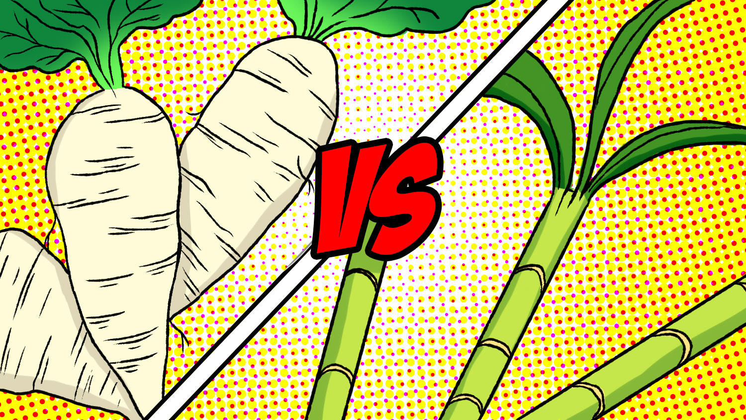 Sugar Beets vs Sugarcane showdown