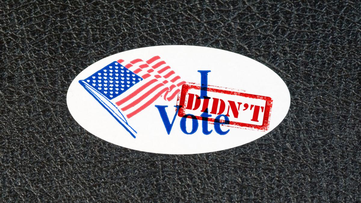 I Didn't Vote