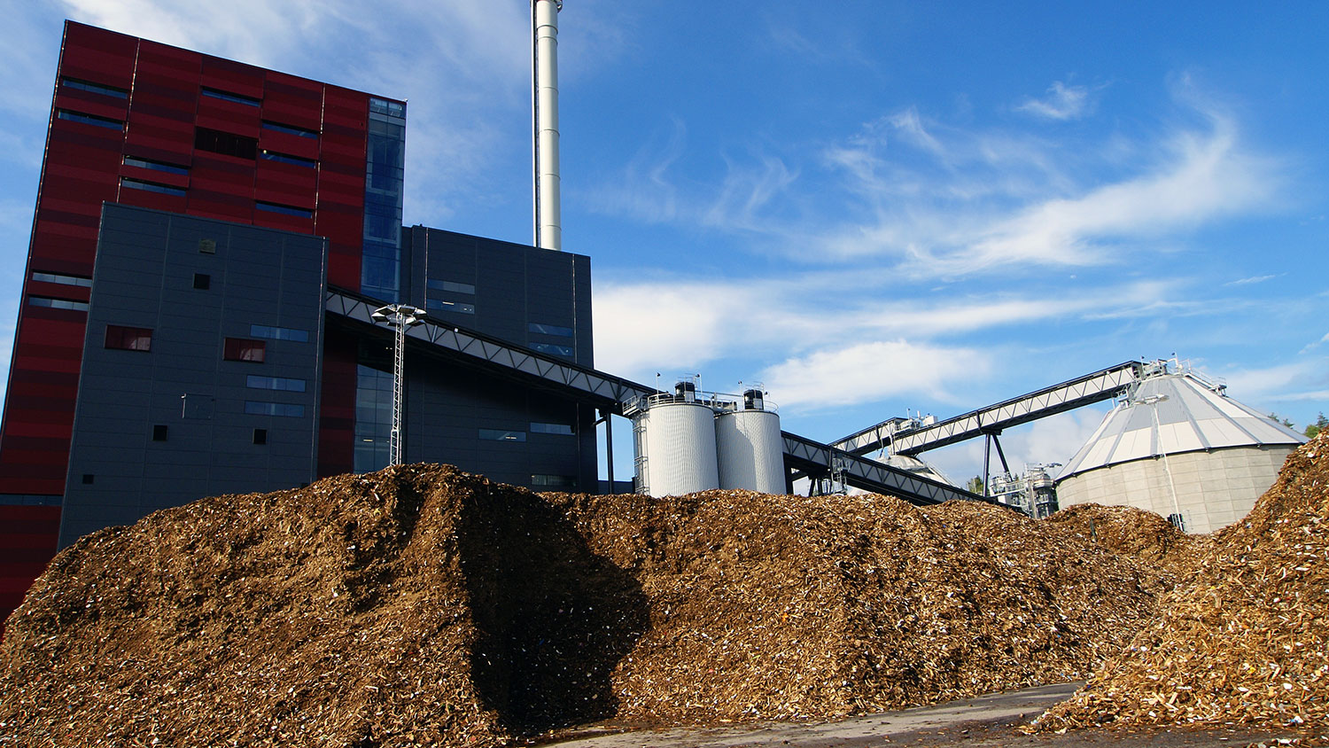 Biomass plant