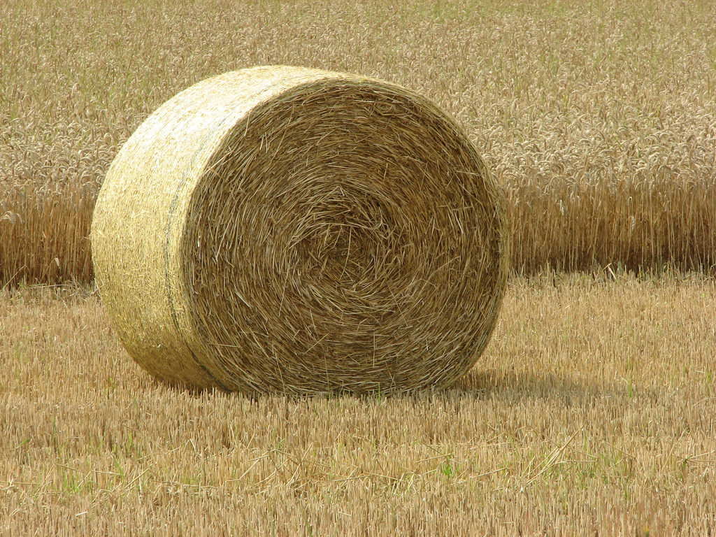 Машина которая косит сено сложное слово 4. Hay Bale. Hay Bale Gates. Hay hay hay. Hay Bale Sport.