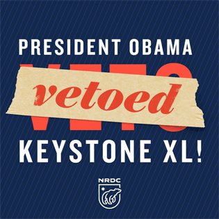 NRDC box: "President Obama vetoed Keystone XL!"