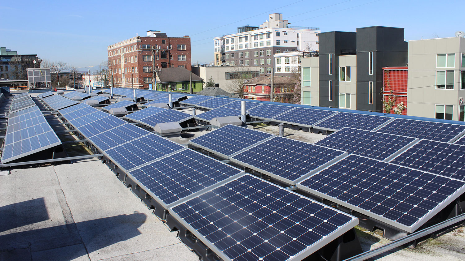 Community Solar Capitol Hill