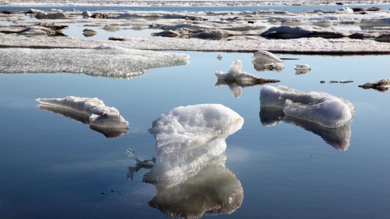 Melting ice bits in the sea