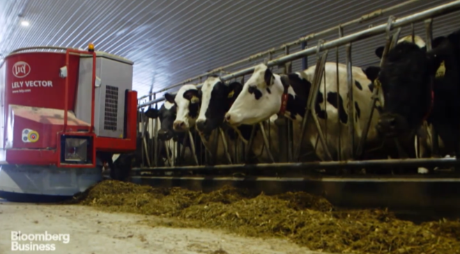 The Lely Vector can feed cows all day and all night