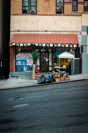 Emma Thompson, An Ant Biologist, And A Bodega Documentarian: It's Woman 