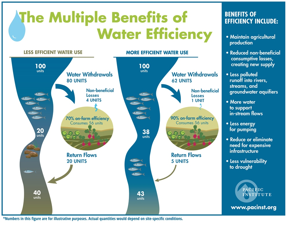 Use the watering to water. Reduce using Water. Water use. Efficient use of Water. Benefits of Water.