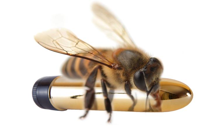 If bee vibes aren't living then I don't know what is